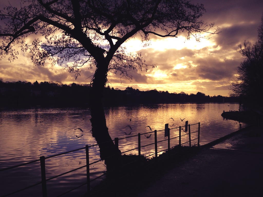 Roath Park 1